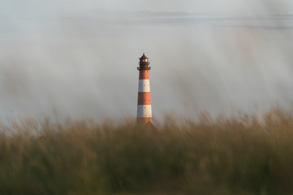 Leuchttum | Heiko Oßwald - Realisiert mit Pictrs.com