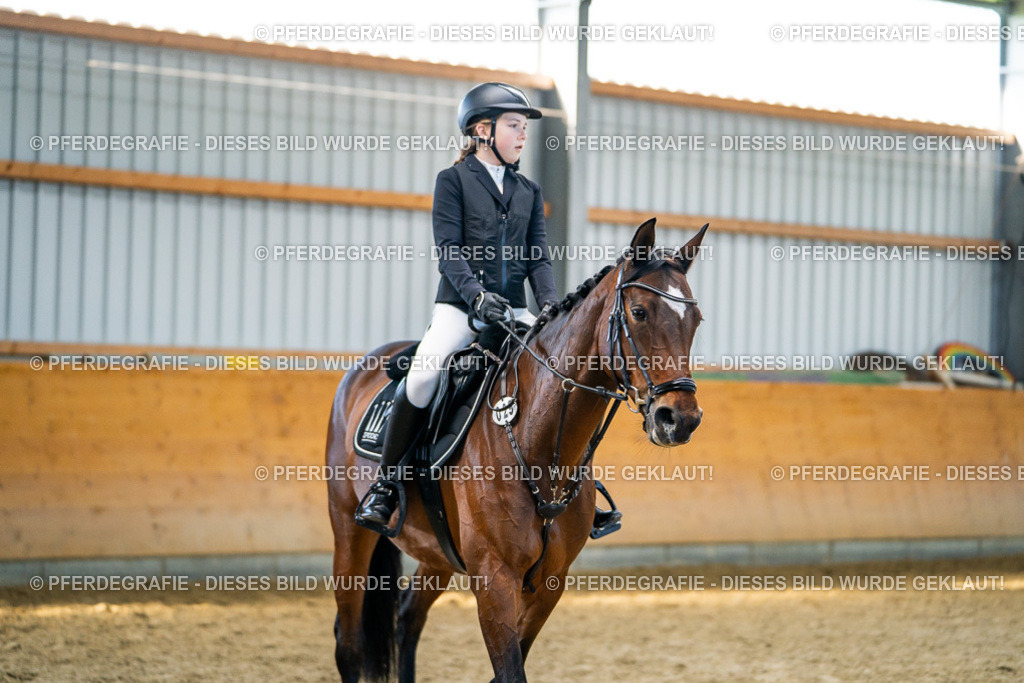 DSC01150 | Pferdegrafie