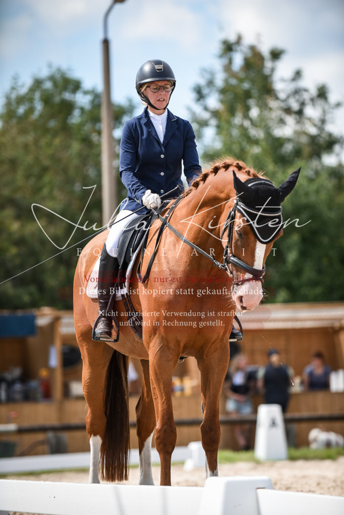 DSC_9249 | Pferde- und Turnierfotografie in Westsachsen. Pferdeportraits, Auftragszeichnungen und intuitive Kunst.