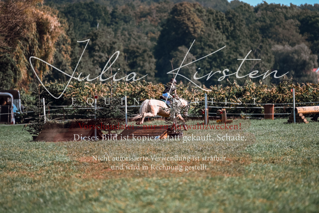 DSC_1061 | Pferde- und Turnierfotografie in Westsachsen. Pferdeportraits, Auftragszeichnungen und intuitive Kunst.