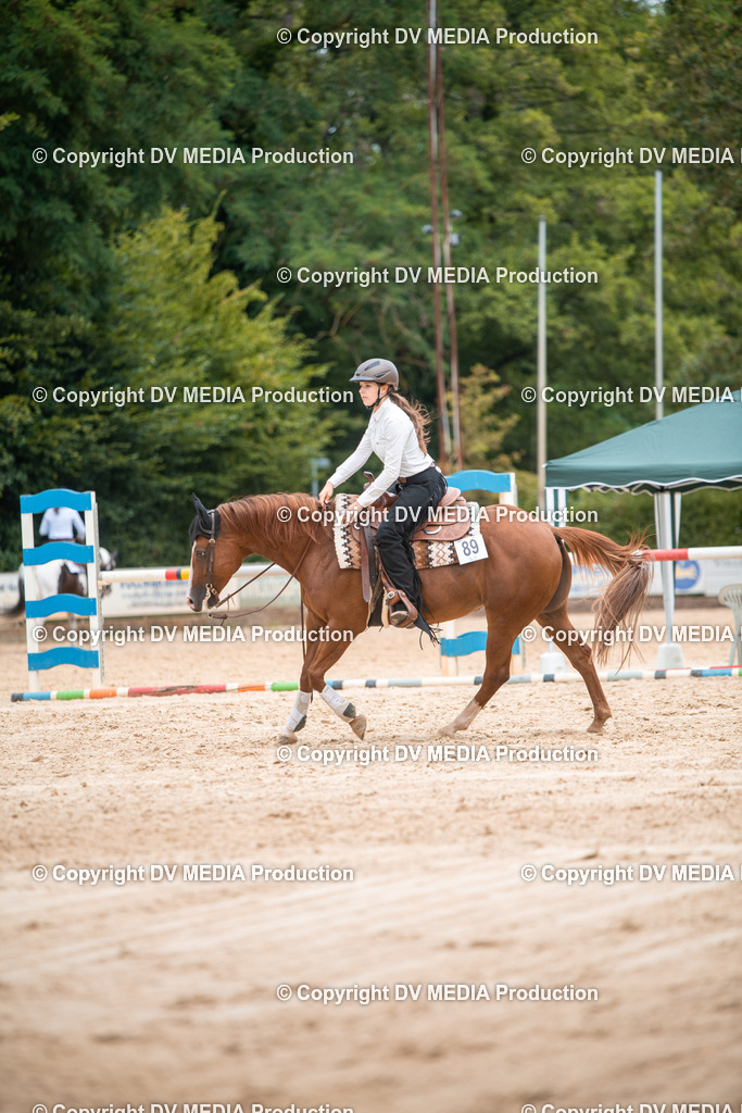 ZS2_8607 | dv-media-shop - Realisiert mit Pictrs.com