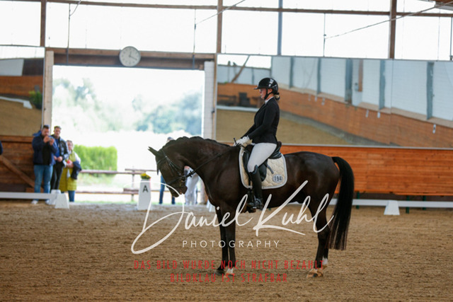 _62_6553 | Turniersportfotografie; Pferdefotografie; Dressurfotografie