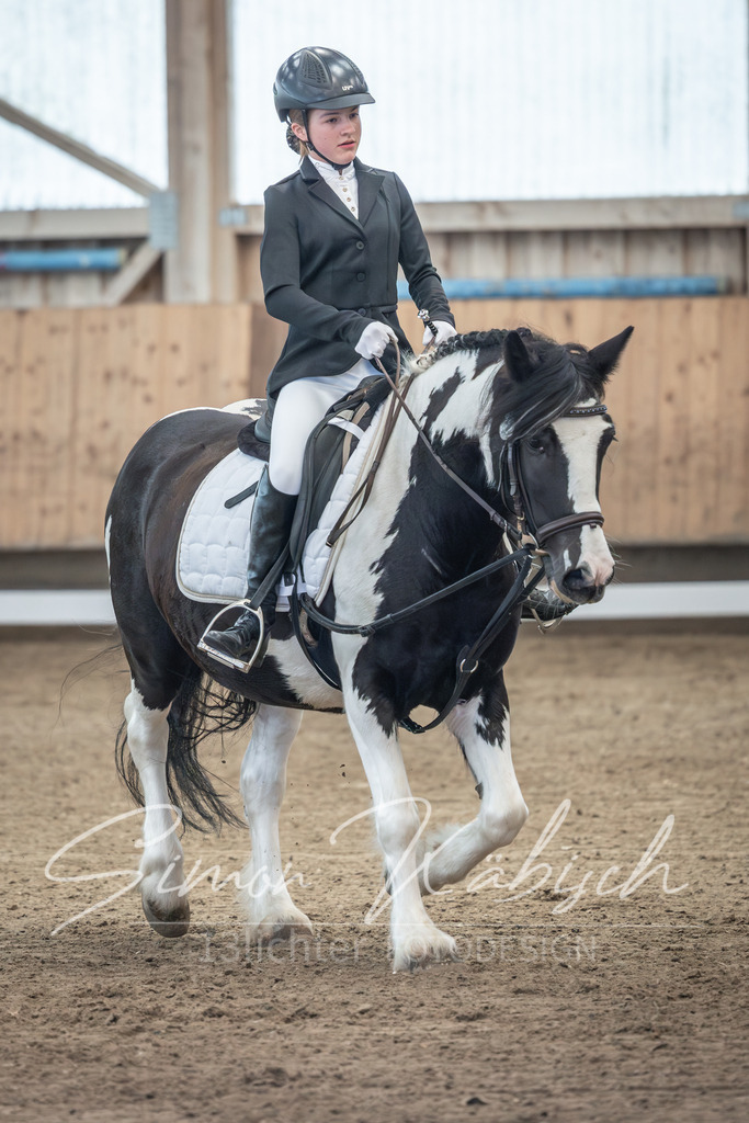 20251011-_3LI7779 | Tierfotografie Pferde, Hunde, Katzen, Haustiere.
Turnierfotografie Reitturniere, Reiten, Springreiten, Dressur in Hanau, dem Main-Kinzig-Kreis und dem Rhein-Main- Gebiet um Frankfurt