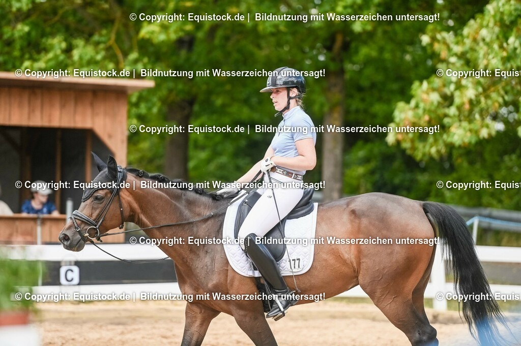 20230715_02_Dressurreiterprüfung Kl.L_0430 | equistock