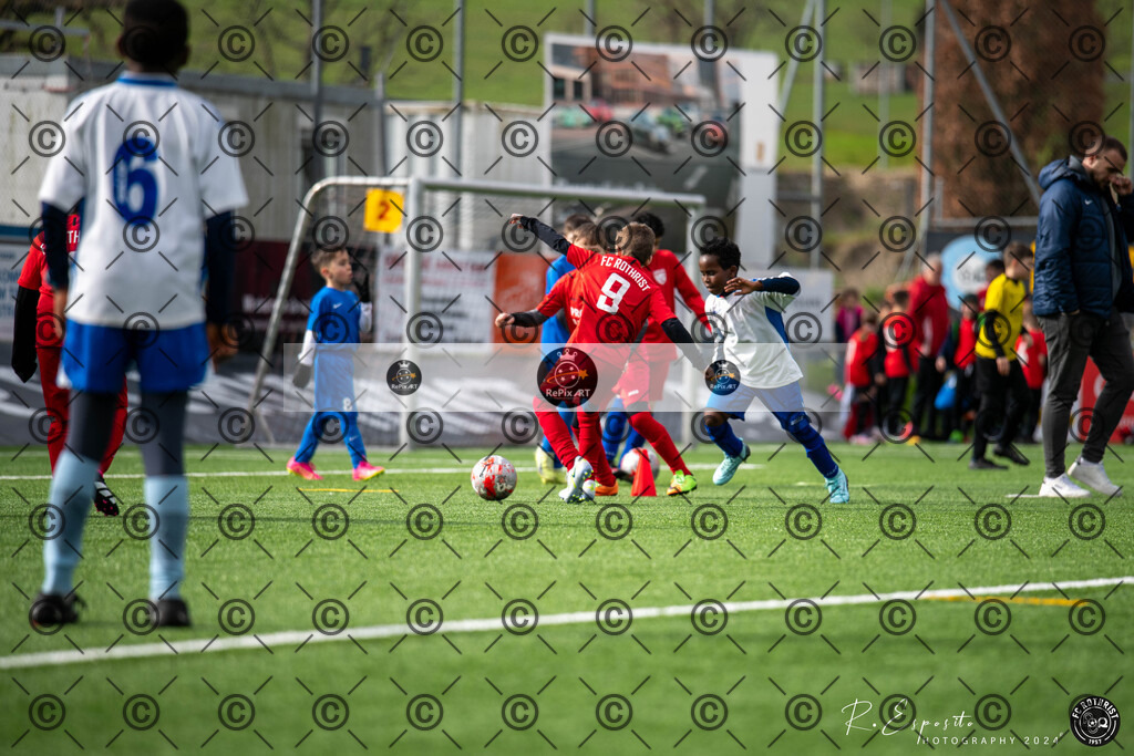 20240316_KS-Turnier E-Jun.0830_1053_025 | Sport und Naturfotografie von Roberto Esposito zeigt echte Momente Bewegung und die Schönheit der Natur. Ausdrucksstarke Bilder schaffen Emotionen.