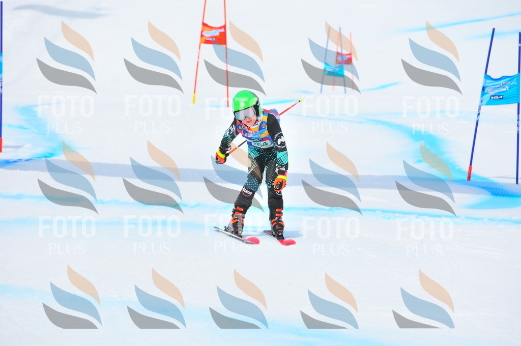 DSC_2467 | holidayphoto