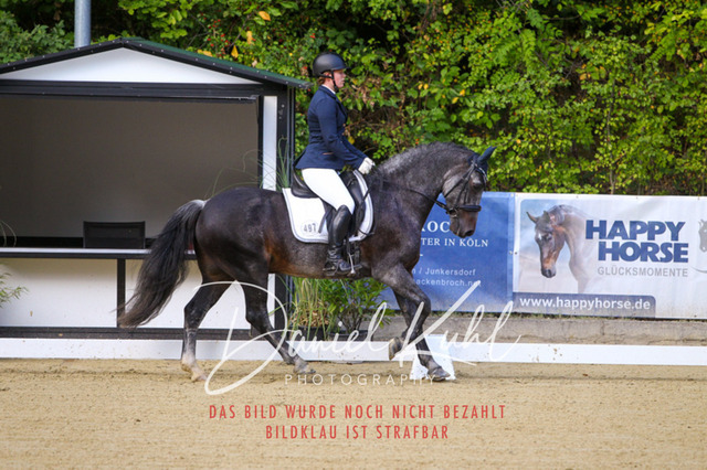 DKP41143 | Turniersportfotografie; Pferdefotografie; Dressurfotografie