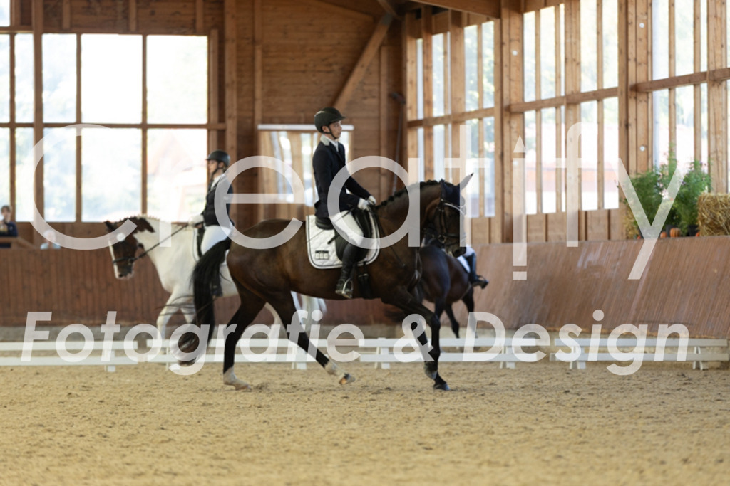 IMG_9209 | Creatify Fotografie