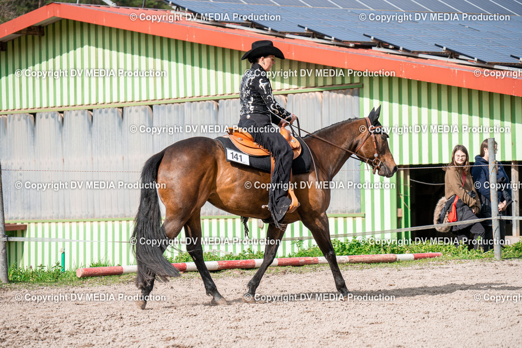 BAL02768 | dv-media-shop - Realisiert mit Pictrs.com