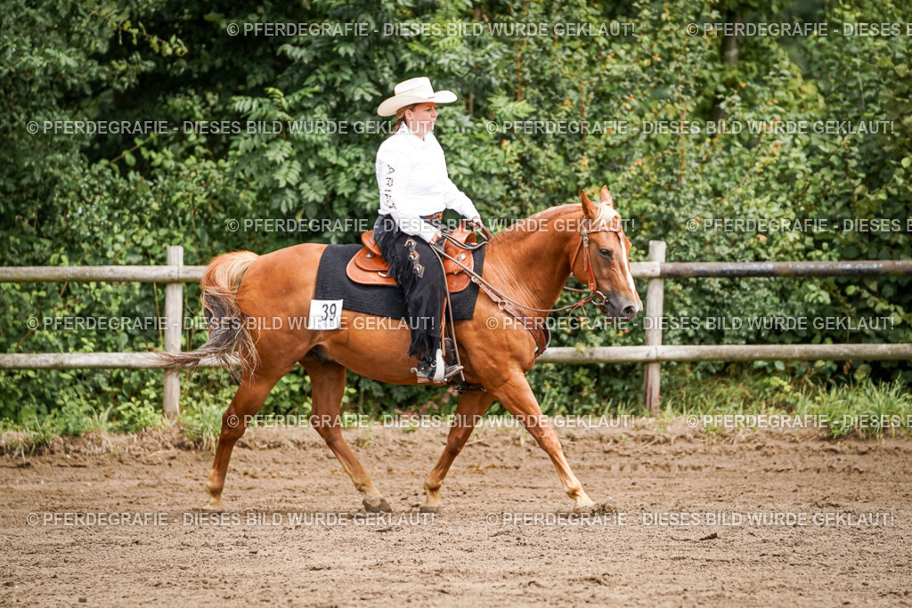 DSC06763 | Pferdegrafie