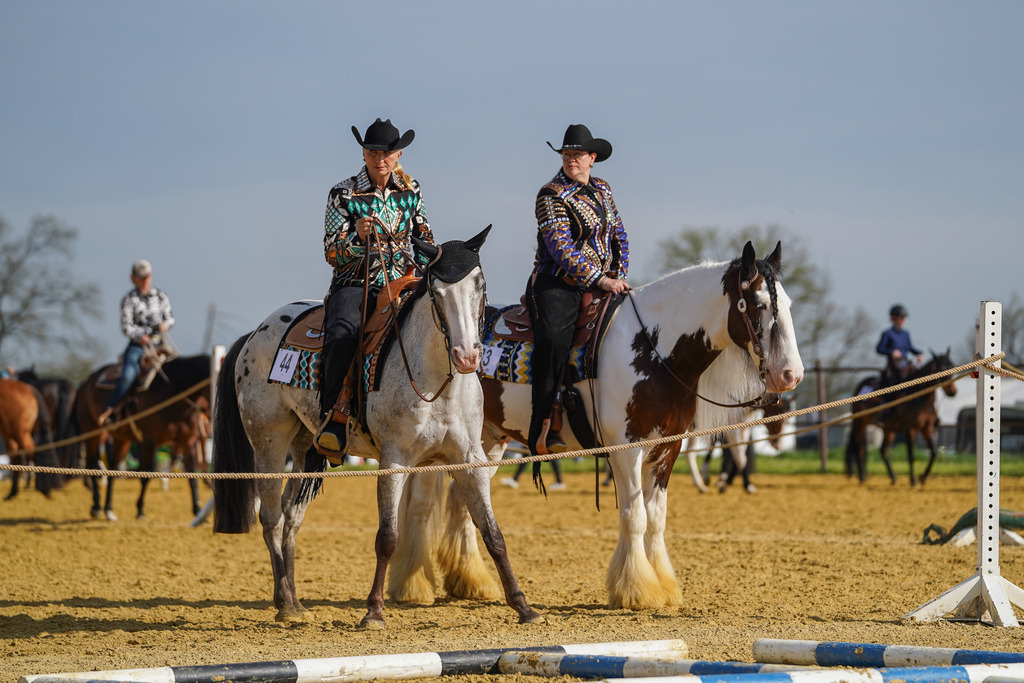 DSC01292 | Pferdegrafie