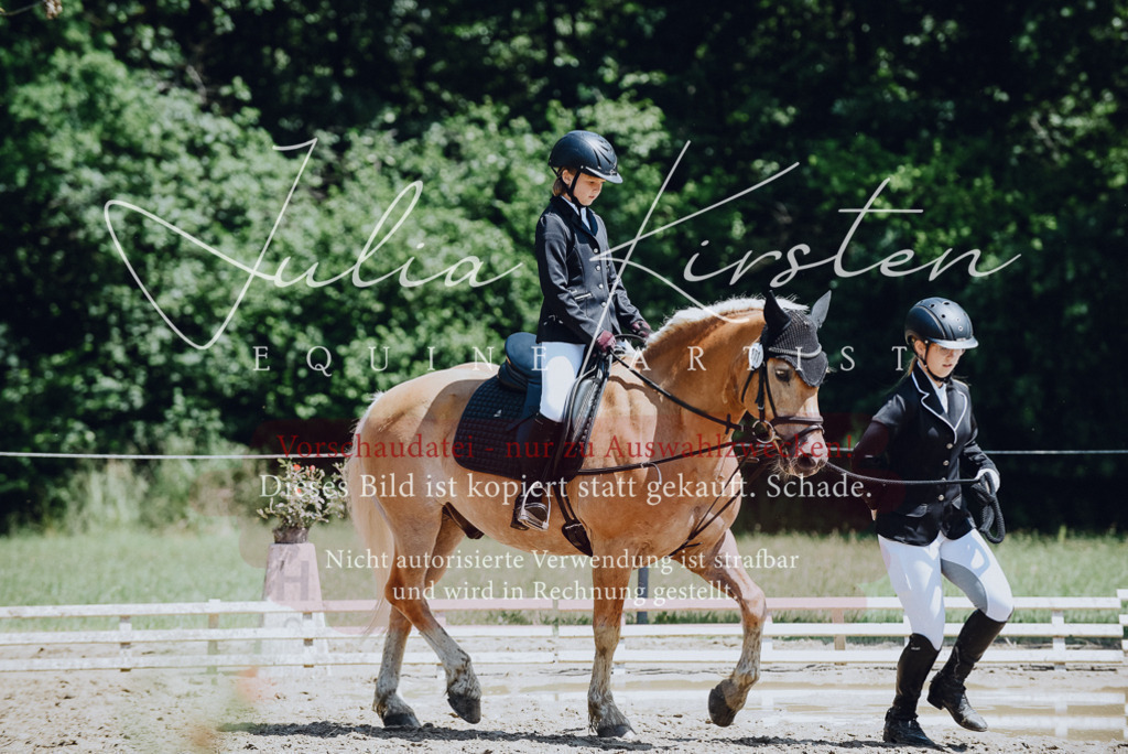 DSC_2146 | Pferde- und Turnierfotografie in Westsachsen. Pferdeportraits, Auftragszeichnungen und intuitive Kunst.
