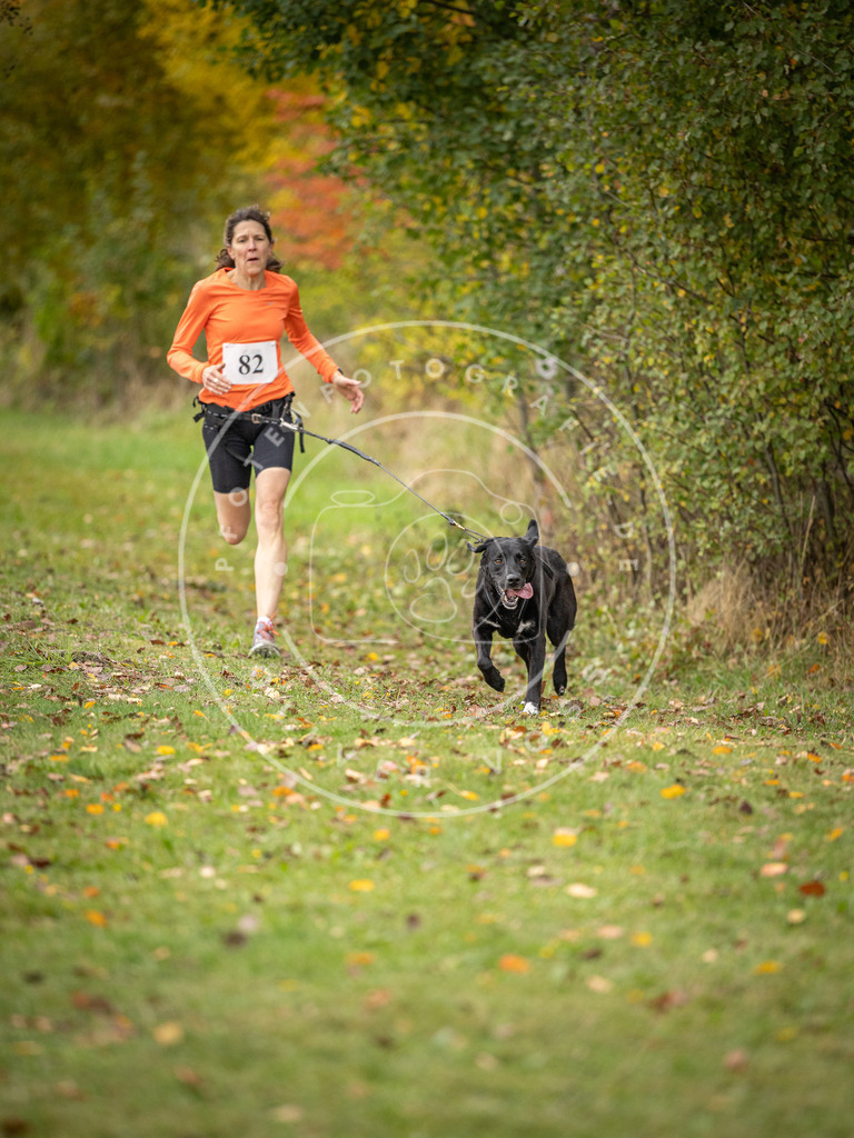 Pfotenfotografie_DV3A3064 | Hundefotografie, Tierfotograf, Pfotenfotografie, Fotoshooting Hund, Hunde Portrait, Hundesport, Hundeportraits, Heideshooting, Hunde, Sportfotograf, Hundefotograf, Turnierhundsport, THS,  - Realisiert mit Pictrs.com