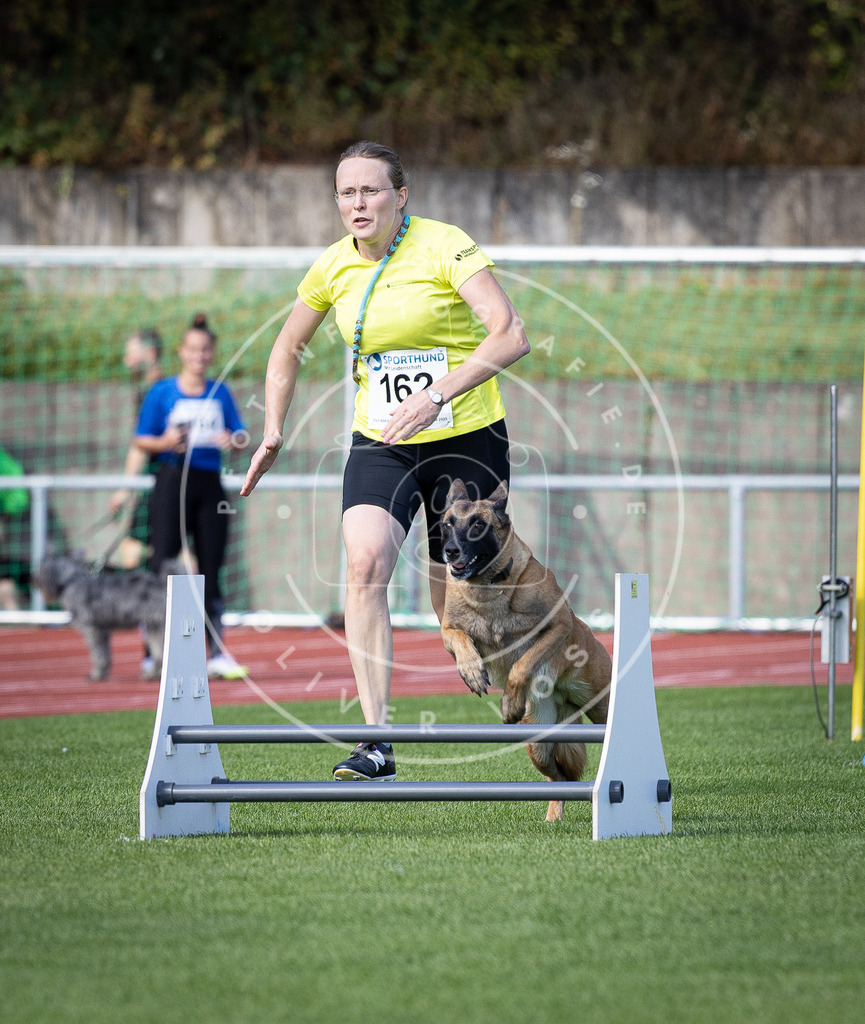 Pfotenfotografie_DV3A9654 | Hundefotografie, Tierfotograf, Pfotenfotografie, Fotoshooting Hund, Hunde Portrait, Hundesport, Hundeportraits, Heideshooting, Hunde, Sportfotograf, Hundefotograf, Turnierhundsport, THS,  - Realisiert mit Pictrs.com