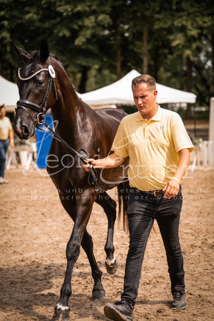 5.Fr00112 | Leoni Ertmer Photography - Realisiert mit Pictrs.com