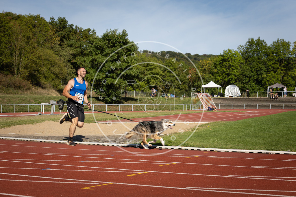 Pfotenfotografie_DV3A9493 | Hundefotografie, Tierfotograf, Pfotenfotografie, Fotoshooting Hund, Hunde Portrait, Hundesport, Hundeportraits, Heideshooting, Hunde, Sportfotograf, Hundefotograf, Turnierhundsport, THS,  - Realisiert mit Pictrs.com