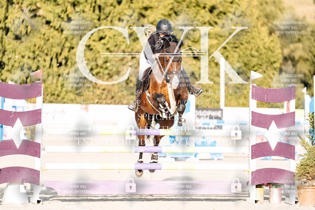 CK900593 | Turnierfotografie Pferdefotografie Trier Rheinland-Pfalz Pferdesport Reitsport Tierfotografie Sportfotografie Pferdevideo Pferdevideografie Equestrianvideography equestrianphotography  - Realisiert mit Pictrs.com