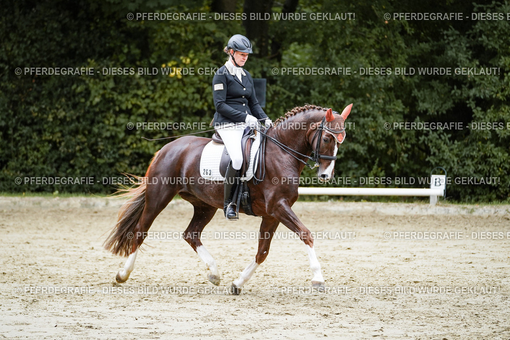 DSC09914 | Pferdegrafie