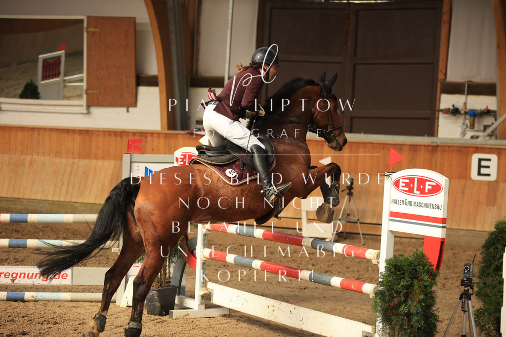 IMGT6057 | pl-fotografie