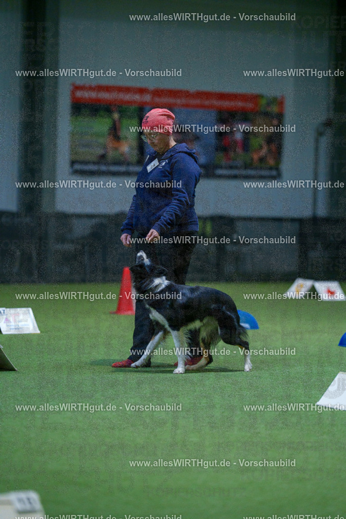 7R502709 | Professionelle Tierfotografie in Mönchengladbach von Daniel Wirth (allesWIRTHgut). Liebevolle & natürliche Bilder von Hunden & Katzen für unvergessliche Erinnerungen.