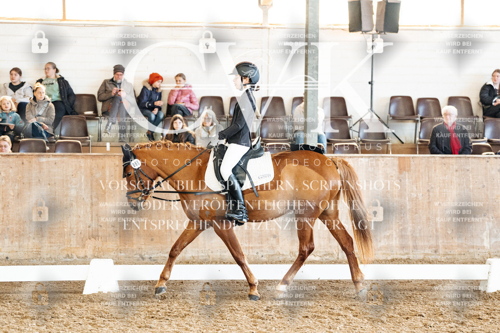 CK900283 | Turnierfotografie Pferdefotografie Trier Rheinland-Pfalz Pferdesport Reitsport Tierfotografie Sportfotografie Pferdevideo Pferdevideografie Equestrianvideography equestrianphotography  - Realisiert mit Pictrs.com