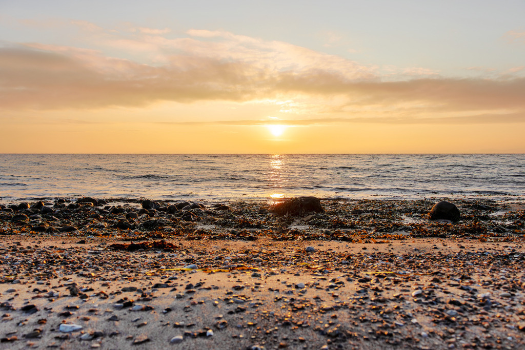 Leinwand: Morgenlicht am Naturstrand  | Dieses Wandbild zeigt einen schönen Naturstrand an der Ostsee, aufgenommen bei Sonnenaufgang. Die Sonne steigt langsam über den Horizont und taucht Himmel und Wasser in sanftes Gold. Der Sand im Vordergrund ist durchzogen von kleinen Steinen, Muscheln und getrocknetem Seegras – Fundstücke, die Wind und Wellen an Land getragen haben. Einige Felsen liegen nahe der Wasserlinie und verleihen der Szene Tiefe und Struktur. Die Wolken sind vom ersten Licht durchzogen, der Himmel zeigt ein Farbspiel aus Orange, Rosa und Blau. Die Komposition lebt vom Zusammenspiel aus Licht, Textur und Küstenruhe – ein Bild, das den Zauber des Morgens und die Kraft des Neubeginns vermittelt. Ideal als Wandbild für naturnahe Wohnkonzepte – ob als Leinwandbild, Acrylglasbild, Alu-Dibond FineArt Print oder als Akustikbild. Ein atmosphärischer Akzent für Wohnzimmer, Büro oder Ferienwohnung. - Realisiert mit Pictrs.com