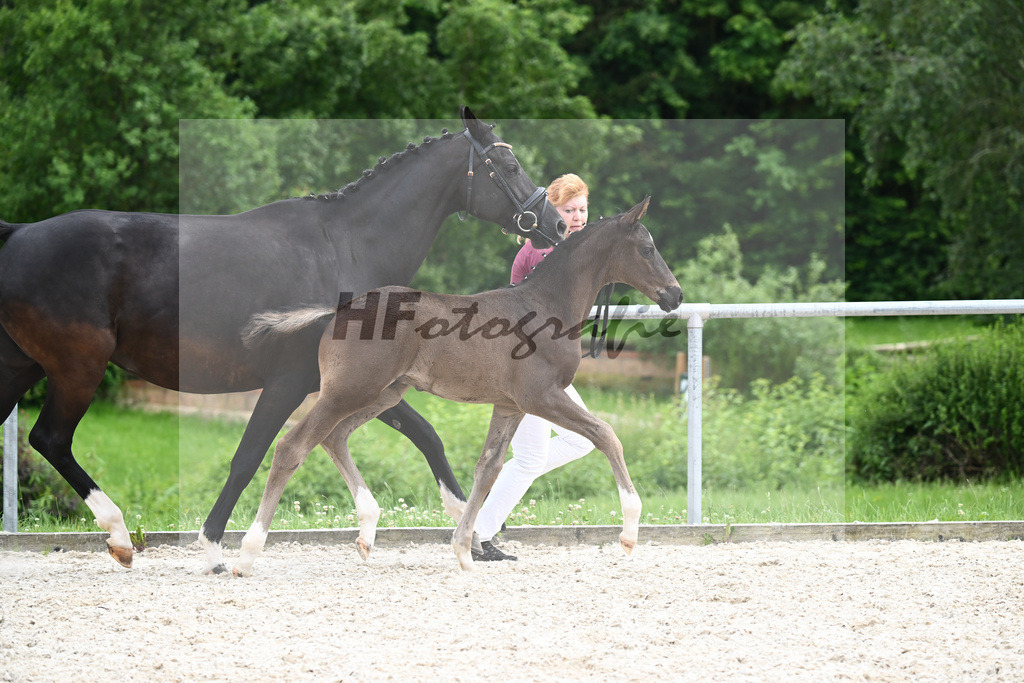Segantini x Desperados_HF_Kloessinger_20240918 | hf-fotografie - Realisiert mit Pictrs.com