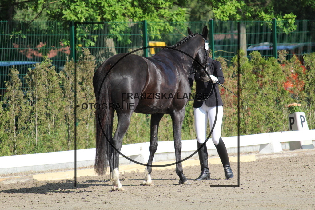 IMG_2227 | franziskalange - Realisiert mit Pictrs.com