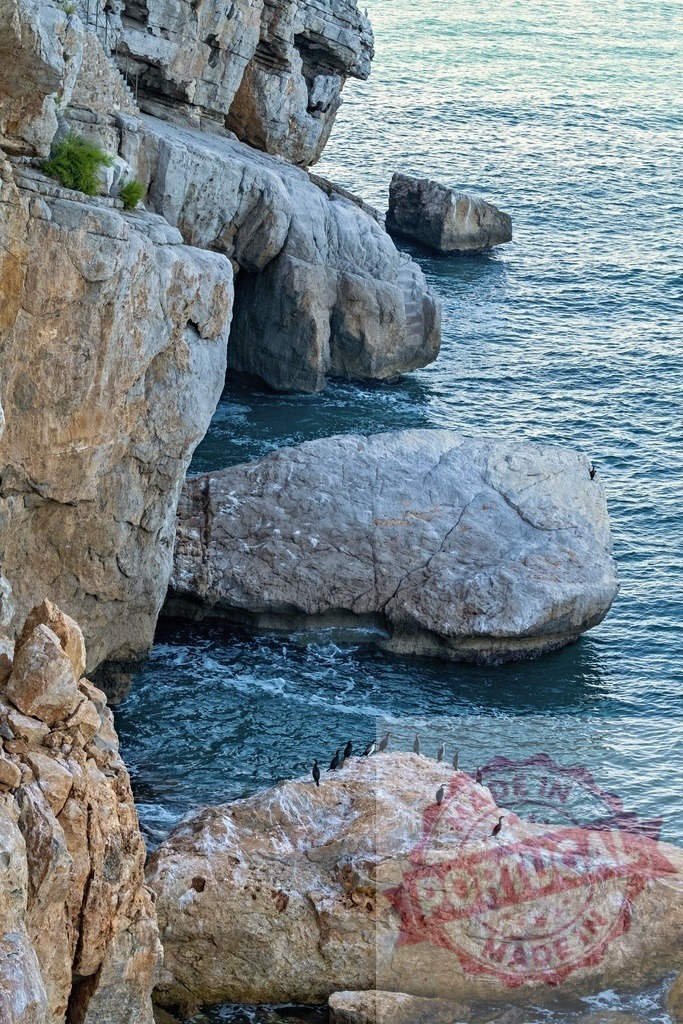 Cormorants nesting on rocky ocean cliff coast | Ocean waves washing around large rocks on a rugged coastline with a flock of cormorants - Realized with Pictrs.com