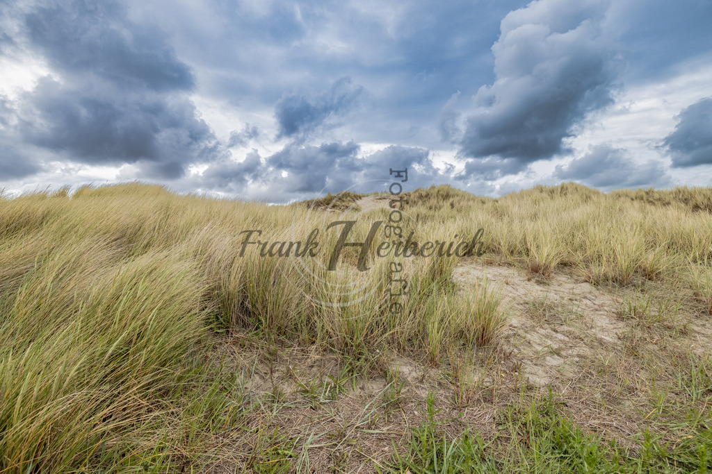 St. Peter Ording | St. Peter Ording - Realisiert mit Pictrs.com