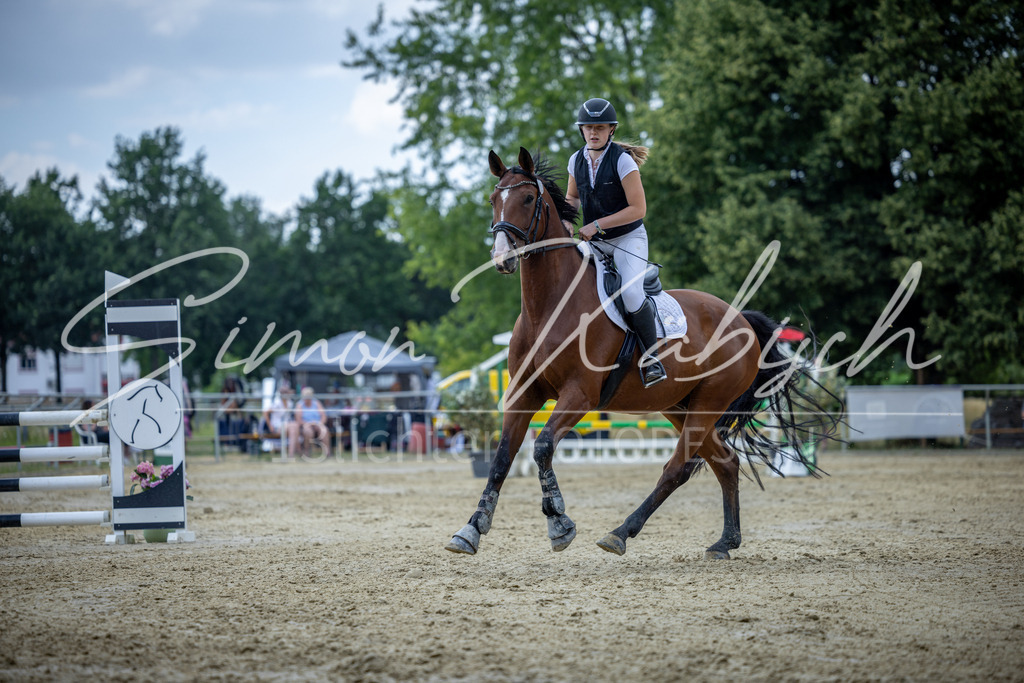 20260704-_3LI1521 | Tierfotografie Pferde, Hunde, Katzen, Haustiere.
Turnierfotografie Reitturniere, Reiten, Springreiten, Dressur in Hanau, dem Main-Kinzig-Kreis und dem Rhein-Main- Gebiet um Frankfurt