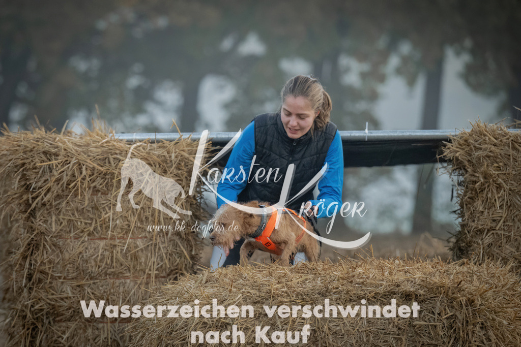 0818_ZZ97641 | kk-dogfotos