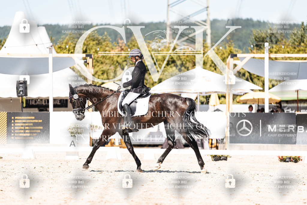 CK900152 | Turnierfotografie Pferdefotografie Trier Rheinland-Pfalz Pferdesport Reitsport Tierfotografie Sportfotografie Pferdevideo Pferdevideografie Equestrianvideography equestrianphotography  - Realisiert mit Pictrs.com