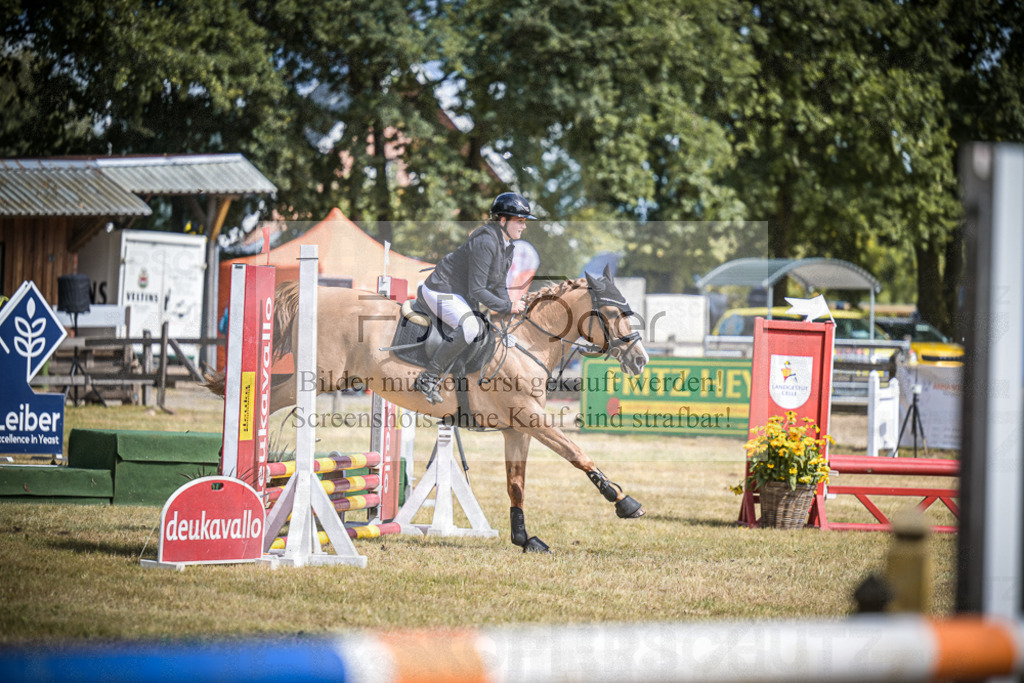 DOS_0490 | Entdecke hochwertige Reitturnierfotos von Foto Oger. Professionell, emotional und authentisch – jetzt Lieblingsmomente im Shop bestellen.Deutschlandweite Turnierfotografie. - Realisiert mit Pictrs.com