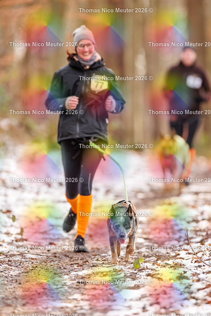 Thomas_Nico_Meuter(C)_223A9247 | Bild von Thomas Nico Meuter - Realisiert mit Pictrs.com