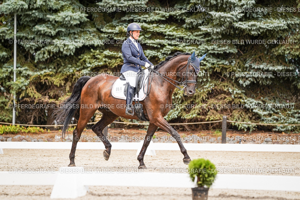 DSC05478 | Pferdegrafie