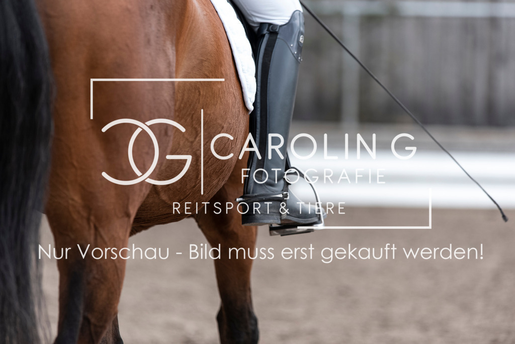 DSC_4524 | Turnierfotografin Carolin Gieschke, Turnierfotografie Carolin G Fotografie, Turnierfotos Kirchheim/Teck, Esslingen, Stuttgart, Bodenseekreis