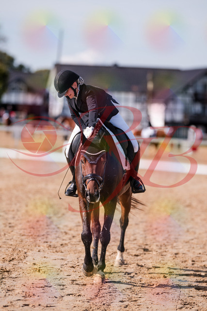 2026_10_03_Siefer-Hof_125859_Z81_50227163 | Professionelle Reitsport-, Turnier- und Eventfotografie von Robert Broda. Galerien mit ausgewählten und bearbeiteten Bildern direkt online ansehen und bestellen.