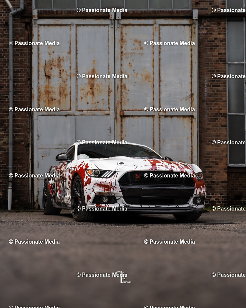 DSC04762 | Passionate Media, dein Fotograf aus Brandenburg, Märkisch Oderland, im Bereich Motorsport, Autos und Motorräder sowie Events und auch Hunde. Shootings oder auch Eventbegleitungen können bei mir gebucht we