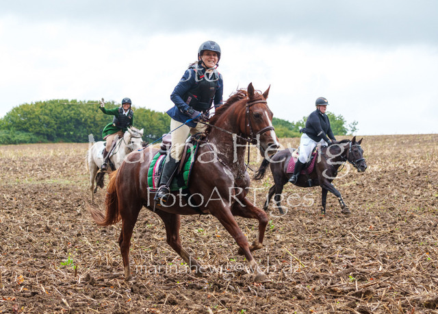 Jagd Kletkamp 26-03084_MarinaHewig | Fotografie, FotoArt, PferdesportArt, Pferdesportfotografie, Landschaftsfotografie, Reisefotografie, Reise, Pferde - Realisiert mit Pictrs.com
