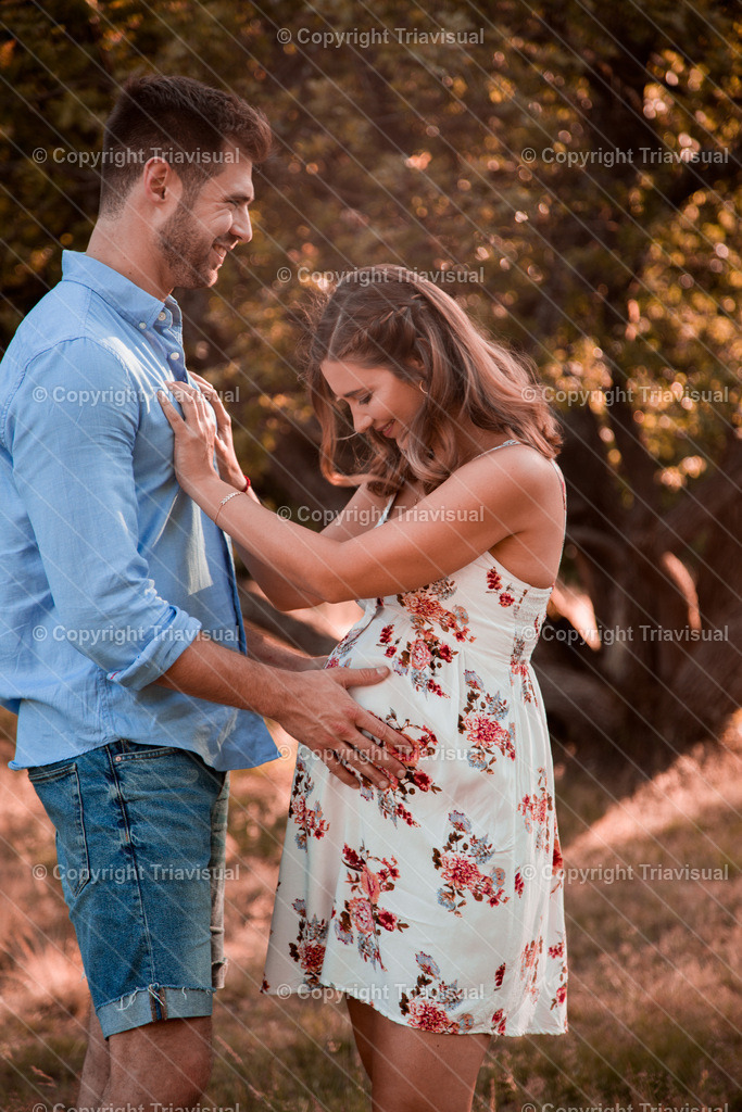 0042 | Triavisual  - Realisiert mit Pictrs.com