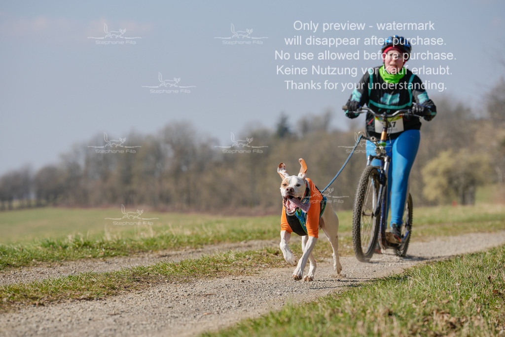 Scooter_Lang-120 | stephaniefillaphotographie - Realisiert mit Pictrs.com