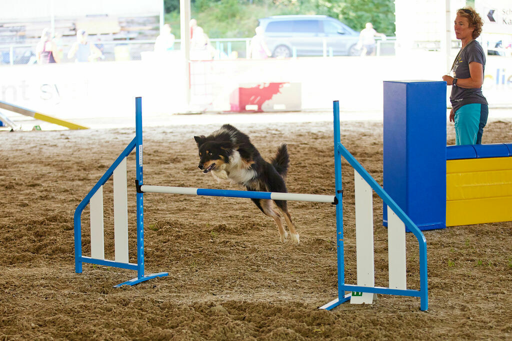 580A0048 | Peter Fridle Fotografie - Realisiert mit Pictrs.com