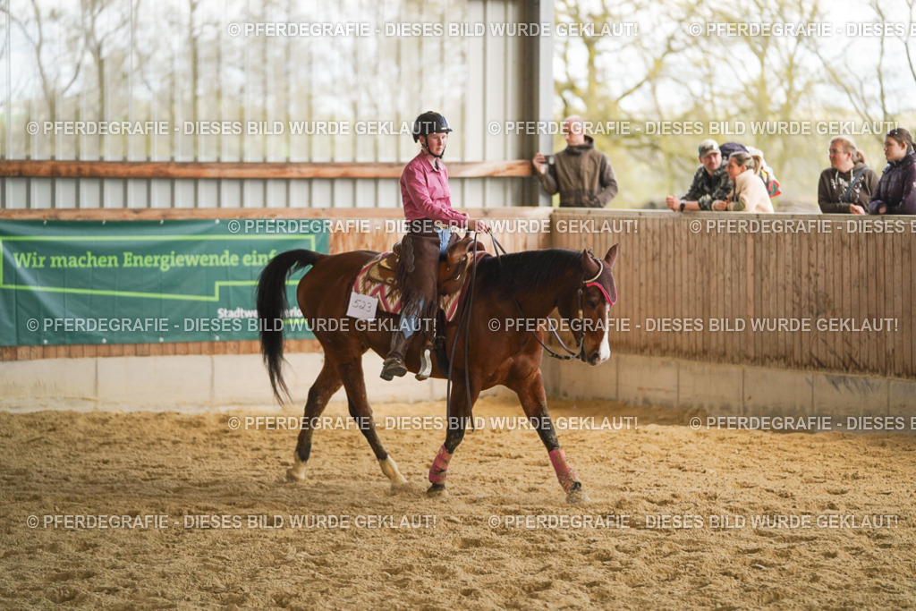 DSC08815 | Pferdegrafie