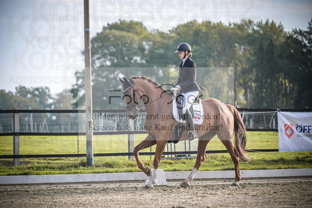 DOS_3370 | Entdecke hochwertige Reitturnierfotos von Foto Oger. Professionell, emotional und authentisch – jetzt Lieblingsmomente im Shop bestellen.Deutschlandweite Turnierfotografie. - Realisiert mit Pictrs.com