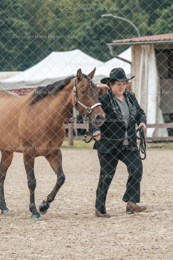 DSC08513 | ikphotography - Realisiert mit Pictrs.com