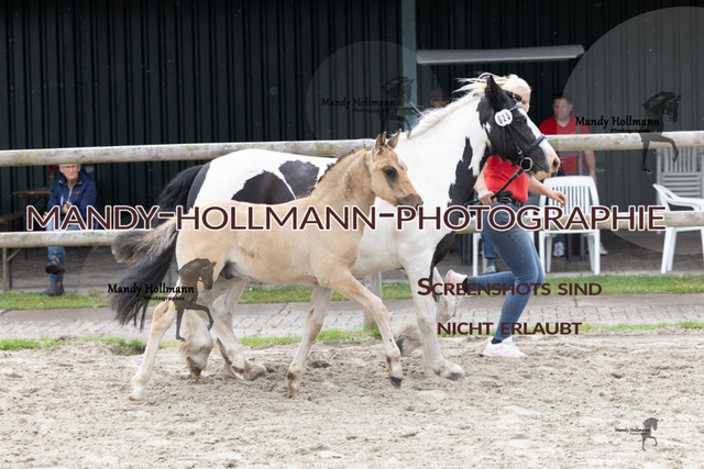 _MG_2494 | mandyhollmannphotographie