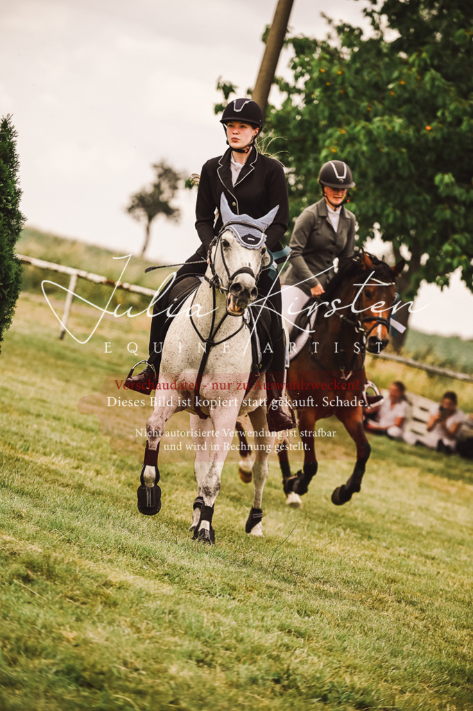 DSC_7009 | Pferde- und Turnierfotografie in Westsachsen. Pferdeportraits, Auftragszeichnungen und intuitive Kunst.