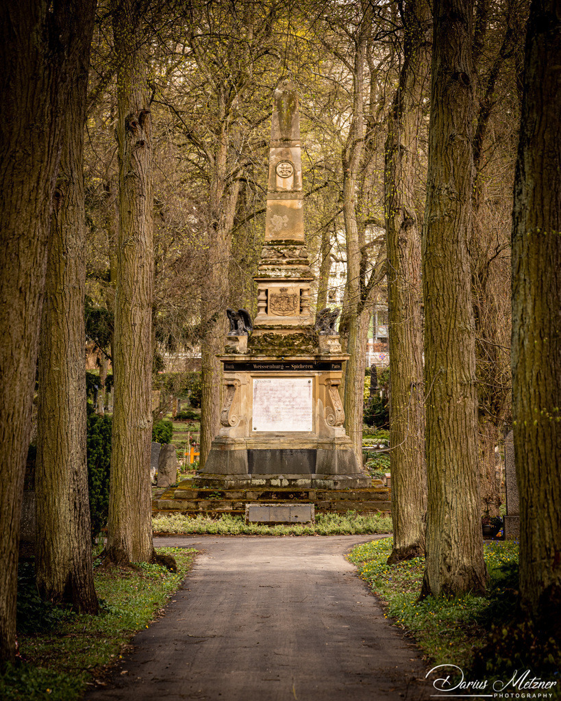 Der alte Hauptfriedhof in Mainz | Der alte Hauptfriedhof in Mainz