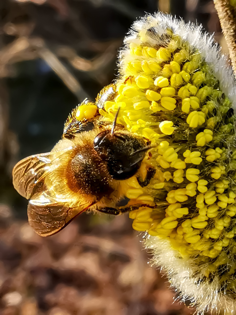 PSX_20230322_224940 | mtkfoto_ - Realisiert mit Pictrs.com